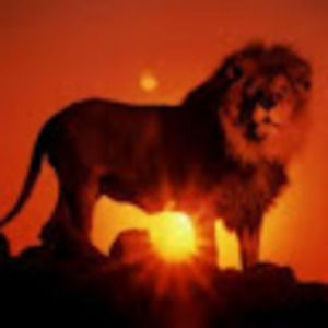 Meet your Posher, Richard